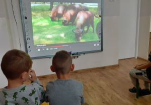 dzieci oglądają prezentację o zwierzętach leśnych